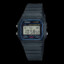 CASIO F-91W
