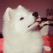 九九那个艳阳天啊啊