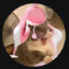 katze