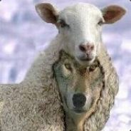 smoothchilla