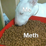 xXShadowWorrior2012Xx