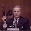 hunter biden democrat
