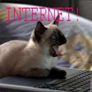(¯`·.·´¯) SynCed - steam id 76561197970972234