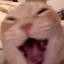 NYPI