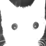 1 @bandit avatar
