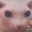 Bingus
