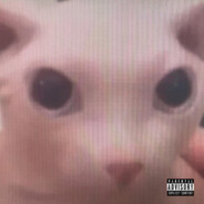 Bingus