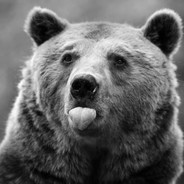 [TW]滑鼠失控(ㄚ熊)