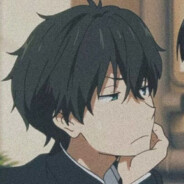 路灯下的那只野猫