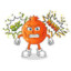 Aggravated Pomegranate