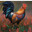 ROOSTER