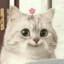 Little Kitten UWU