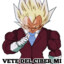 CAPITAN VEGETA