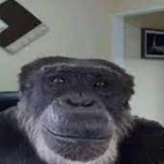 monke