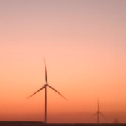 你觉得你能杀死我