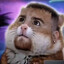 Robgster