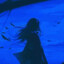 CursedRain