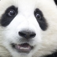 PandaPandaPanda
