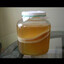 kombucha