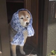 西瓜不甜不好吃