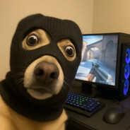 glava sgmu - steam id 76561199037963315