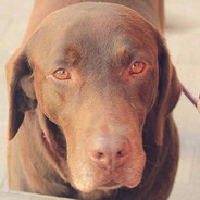 NajemixX avatar
