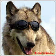 Avatar {SoA} AK-ВолКА