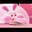 The Bunnie ^.^