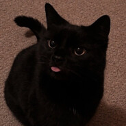 Wilson
