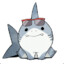 cute shark jeff