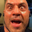 im joe rogan !!!!!