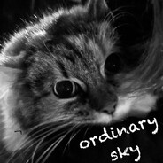 ordinary sky