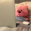 小鱼yy-