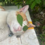 小猫咪咪