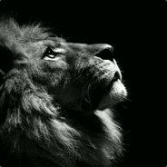 L!oN JR - steam id 76561198201886426