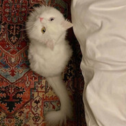 𝑴𝒐𝒐𝒏_𝒓𝒊𝒔e - steam id 76561199533732118