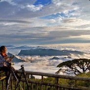 请享受我带给你的噩梦