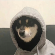 超想吃红烧牛肉