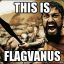 FlagVAnus