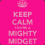 MightyMidget95