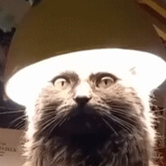 Tyler - steam id 76561198342708652