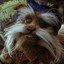 Sir Didymus