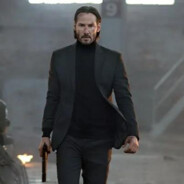 小黄鸭兼职灭鼠大队长