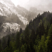 сын шпателя