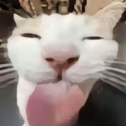 长崎素世不会梦到丰氚箱子