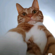 屎倒淋头还搅便