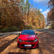 Grzybonurek ʕ•ᴥ•ʔ