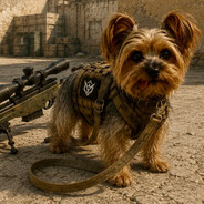 Sniping Updog