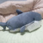 smallshark