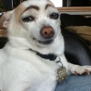Wuff